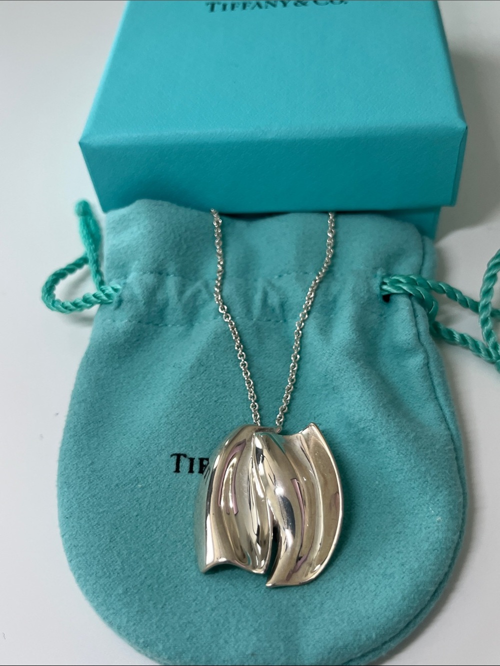 Tiffany & Co. Frank Gehry Double Fish Pendant in Sterling Silver